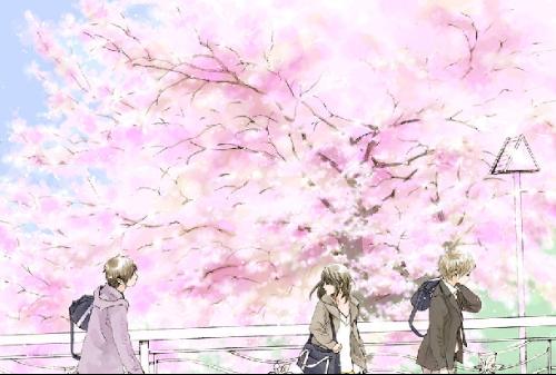 丝瓜芭乐秋葵榴莲